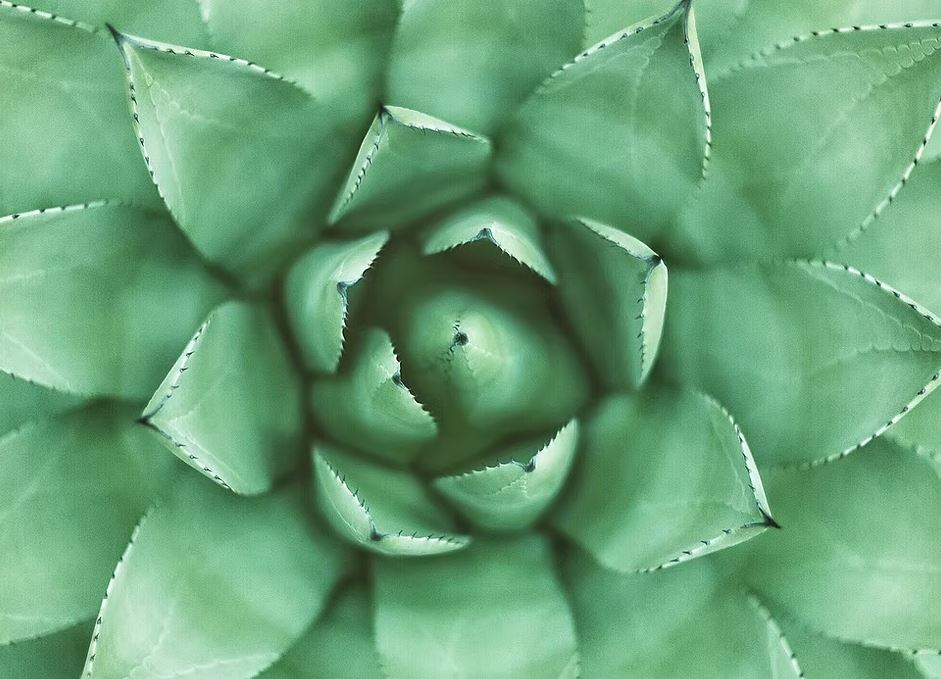 Ilustračný obrázok