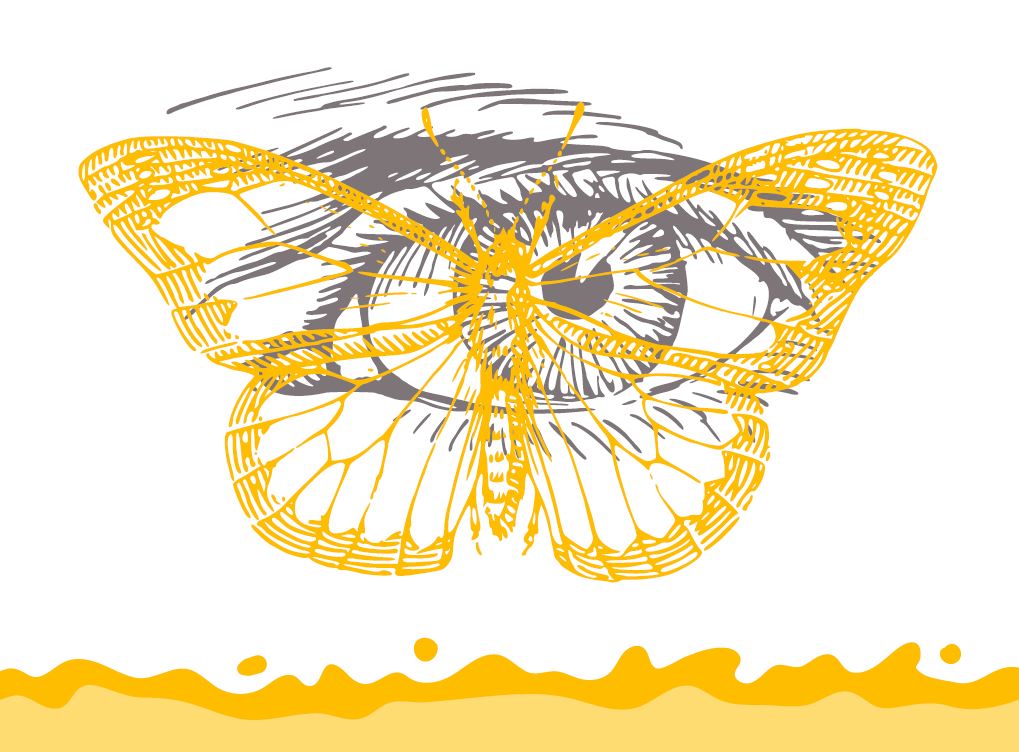 Náhľad titulnej strany príručky Evolúcia okolo nás