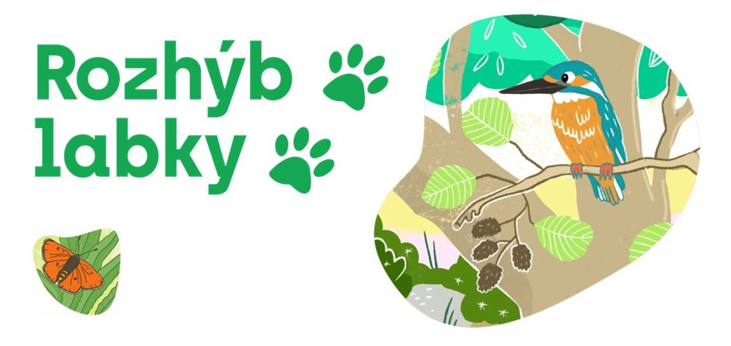 Ilustračný obrázok k programu Rozhýb labky