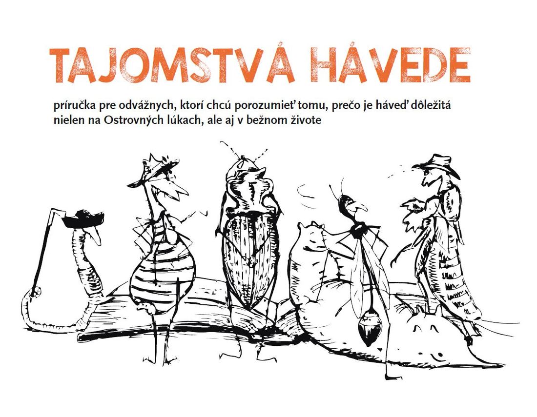 náhľad titulnej strany publikácie Tajomstvá hávede