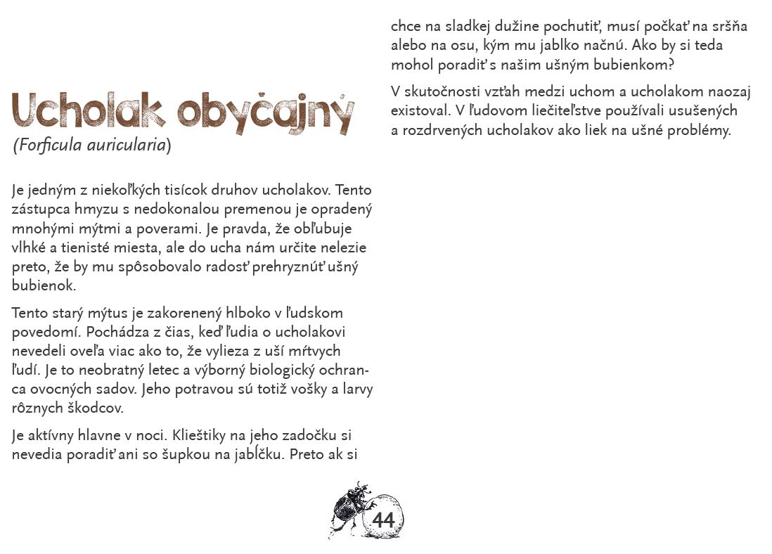 Náhľad strany o ucholakovi