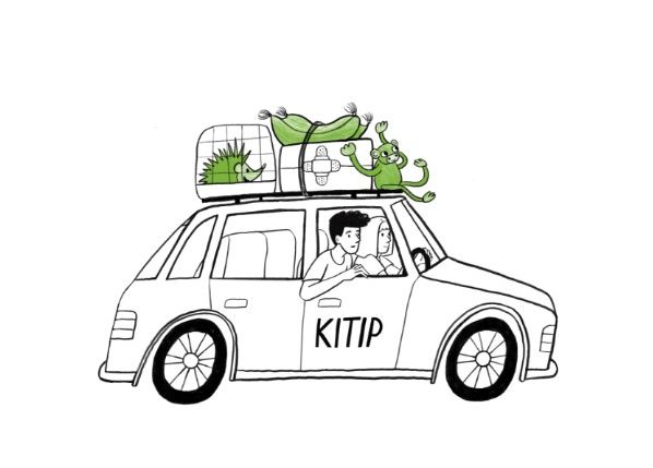 Ilustračný obrázok Krízová intervencia IPčko